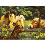 SunsOut 52651 Puzzle zu 500-Teilen, by Linda Picken &quot;Pferde mit Fohlen&quot;
