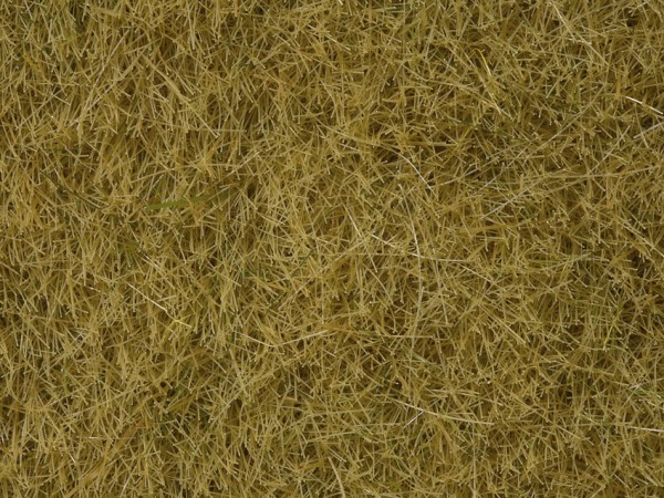 Noch 07101 Wildgras, "beige"