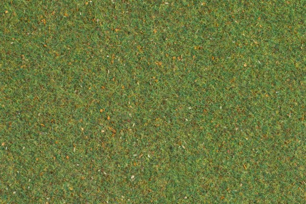 Auhagen 75212 H0/TT/N/Z/0/G Grasmatte &quot;Wiese - mittelgrün&quot;, 75 x 100 cm