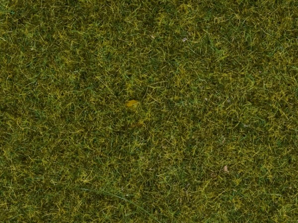 Noch 08361 Streugras "Wiese"