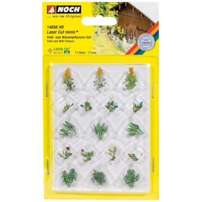 Noch 14056 Feld- und Wiesenpflanzen