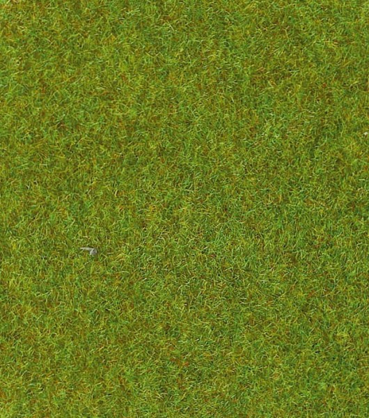 Heki 30903 Grasmatte, "Wiese", hellgrün (300 x 100 cm)